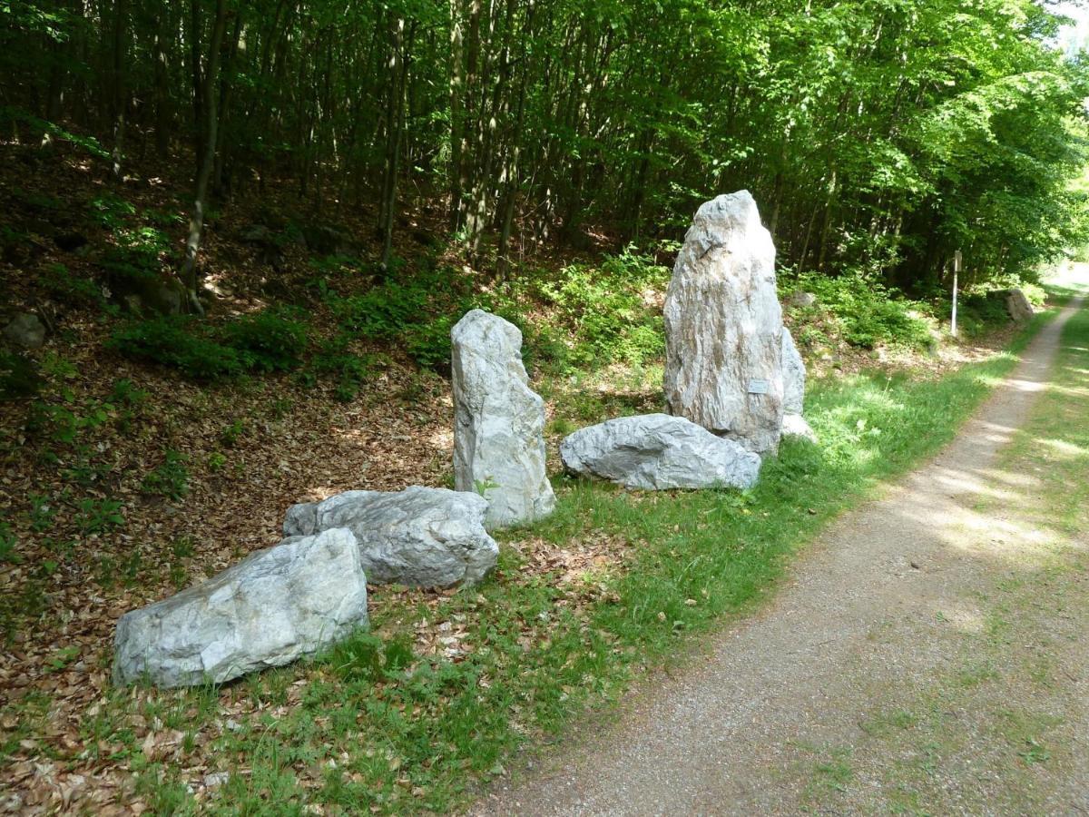Pension Ferienwohnungen Frey Tännesberg Exterior foto